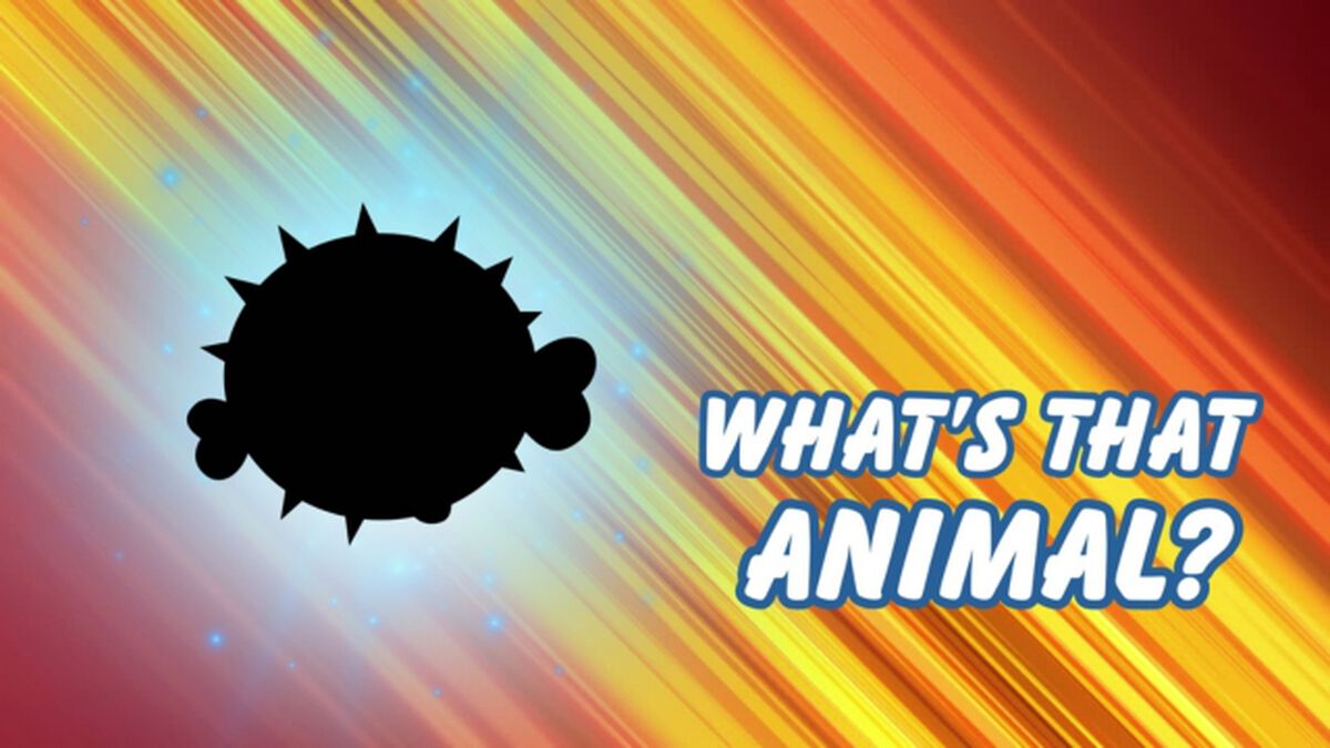 What's That Animal? image number null